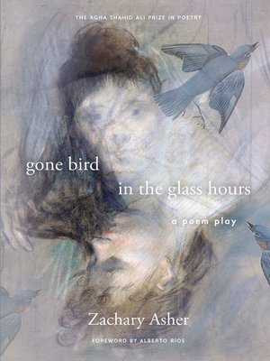 cover image of gone bird in the glass hours